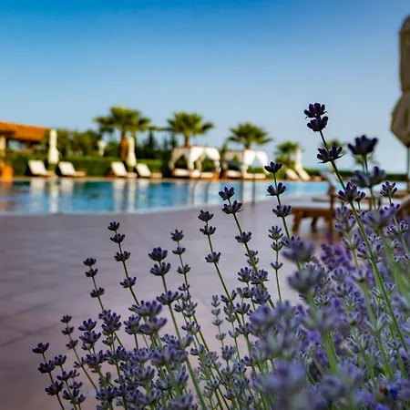 公寓式酒店 Burgas Beach Resort Apartments 4*